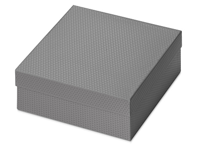 Коробка подарочная Gem M (Серебристый)