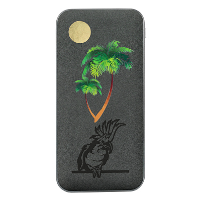 Внешний аккумулятор Ин Велюр (In Velour) 10000 mAh, серый