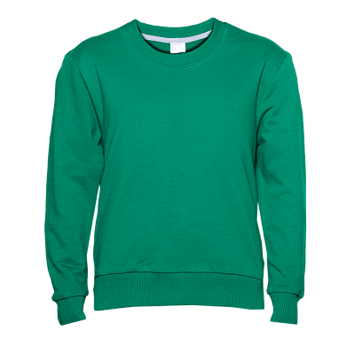 Свитшот детский STAN футер без начёса, 260, 63J (Зелёный)
