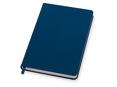 Бизнес-блокнот А5 С3 soft-touch с магнитным держателем для ручки (Синий)