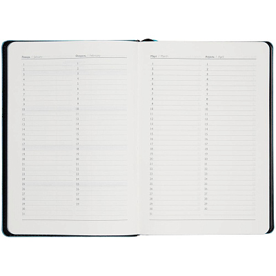 Ежедневник Alanis, недатированный, черный с голубым