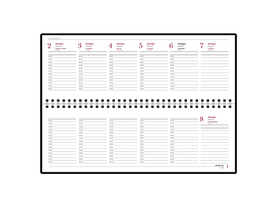 Планинг датированный Ideal New на 2025 год