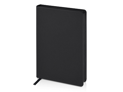 Ежедневник А5 датированный Megapolis Color на 2026 год (Чёрный)