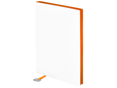 Ежедневник недатированный А5 Mercury