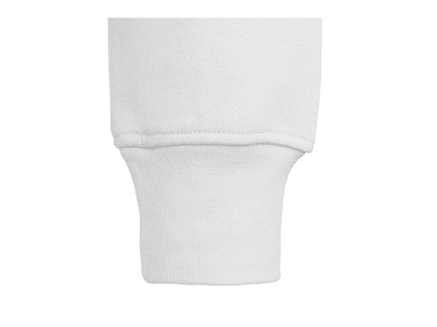 Толстовка с капюшоном Amsterdam мужская