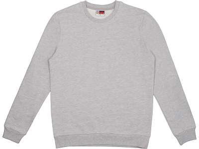 Свитшот Motion с начесом, унисекс