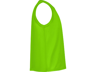 Манишка спортивная Roma, унисекс