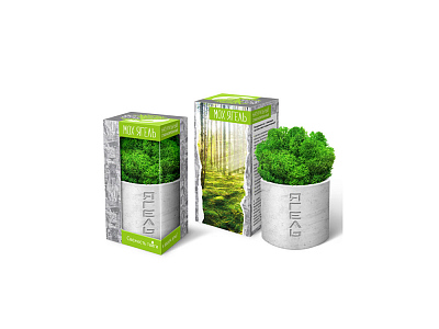 Мох Ягель натуральный