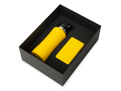 Подарочный набор COLOR IT с бутылкой для воды и повербанком  (Желтый)