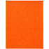Ежедневник Flat Maxi, недатированный, оранжевый - Фото 2