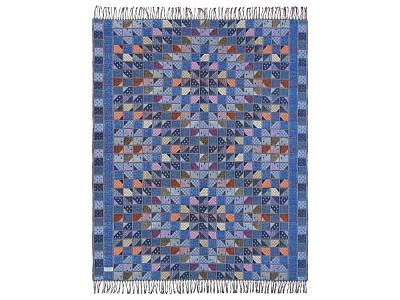 Плед ILLINOIS CTN 9040