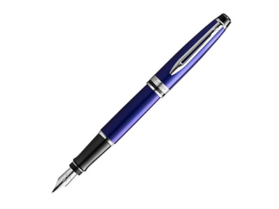 Ручка перьевая Expert, F (Синий, черный, серебристый)