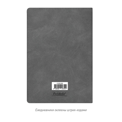 Ежедневник Теоло (Teolo) недатированный, серый