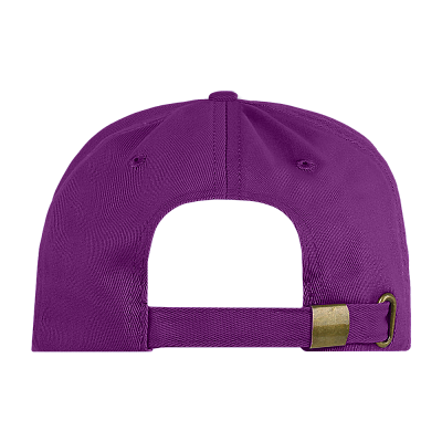 Бейсболка STAN 5 клиньев хлопок 260, 12