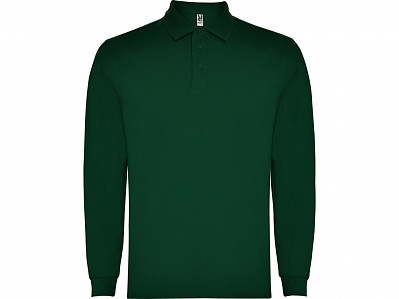 Рубашка поло Carpe мужская с длинным рукавом (Бутылочный зеленый)