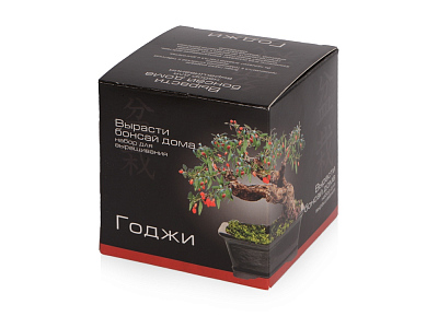Подарочный набор Вырасти Бонсай дома. Годжи