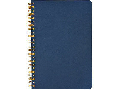 Бизнес тетрадь А5 Pragmatic