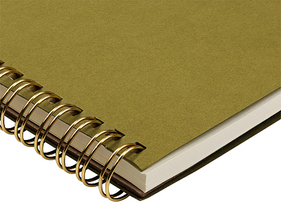 Бизнес тетрадь А5 Pragmatic