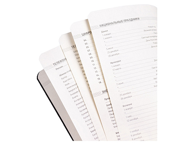 Ежедневник недатированный А5 Megapolis Velvet Flex