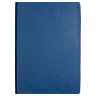 Ежедневник Латте (Latte NEW) недатированный, синий/голубой