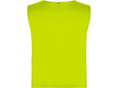 Спортивная безрукавка Ajax, унисекс (Неоновый желтый)
