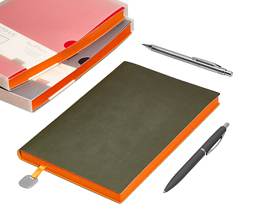 Ежедневник недатированный А5 Mercury