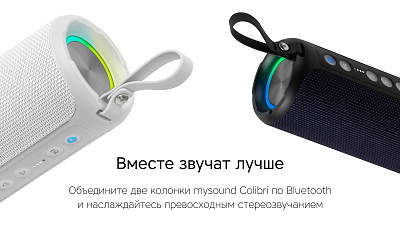 Портативная колонка Rombica Mysound Colibri, серый