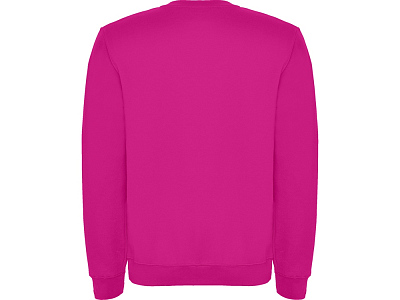 Свитшот с начесом Clasica унисекс