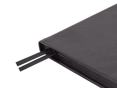 Ежедневник А5 датированный Megapolis Nappa на 2026