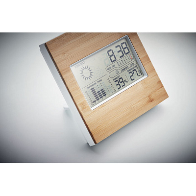 Метеостанция из бамбука