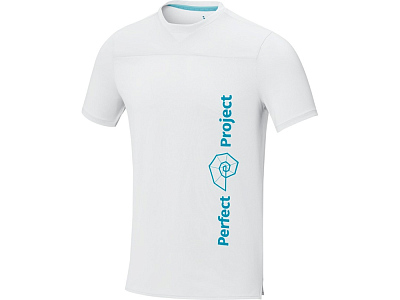 Футболка Borax мужская