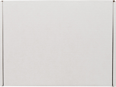 Коробка подарочная Zand, M