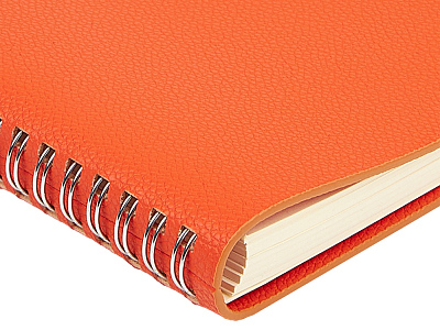 Ежедневник недатированный А5 Alba