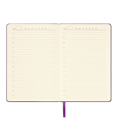 Ежедневник Спарк (Spark) недатированный, фиолетовый (с упаковкой, со стикерами)