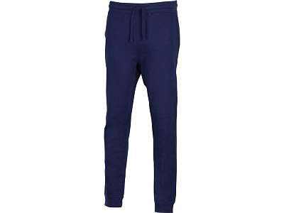 Брюки Motion с начесом мужские (Тёмно-синий)