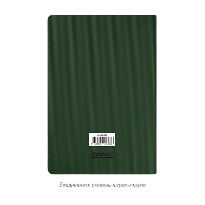 Ежедневник Рейн (Rain) недатированный, зеленый
