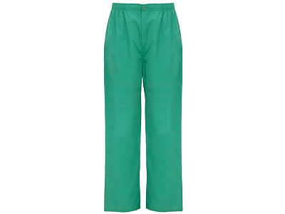 Брюки Vademecum, унисекс (Нежно-зеленый)