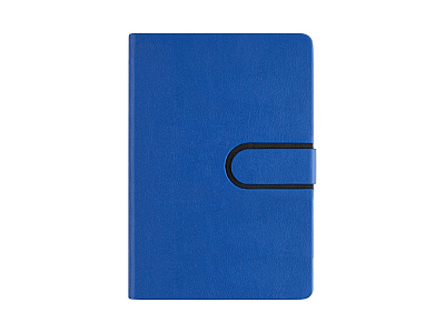 Ежедневник недатированный А5 Status