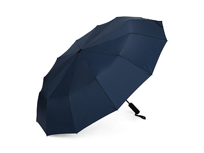 Зонт складной, мужской (Синий)