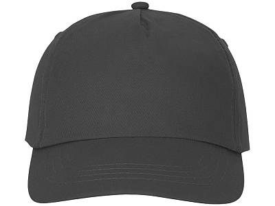 Бейсболка Feniks