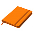 Блокнот SHADY JUNIOR с элементами планирования,  А6, оранжевый, кремовый блок, оранжевый  обрез - Фото 3