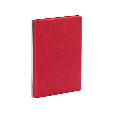 Ежедневник недатированный "Аскона", формат А5, гибкая обложка  (Красный)