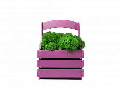Композиция Корзинка со мхом (Фиолетовый, зеленый)