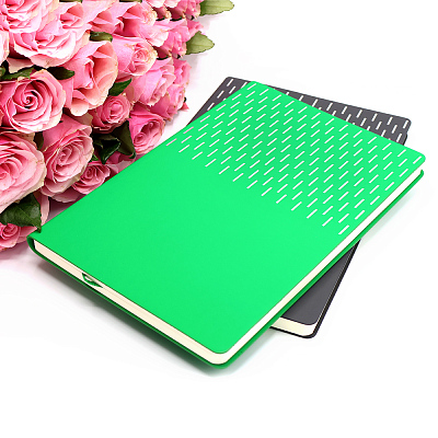 Ежедневник A5 недатированный Esmeralda в мягком переплёте, зелёный с серебристым