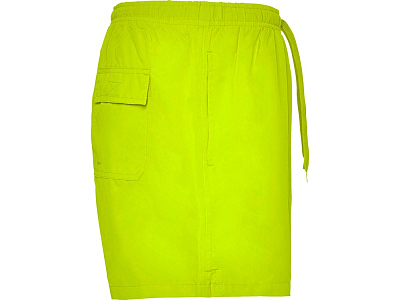 Плавательные шорты Aqua, мужские