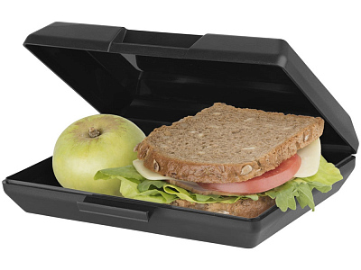 Ланч-бокс Oblong