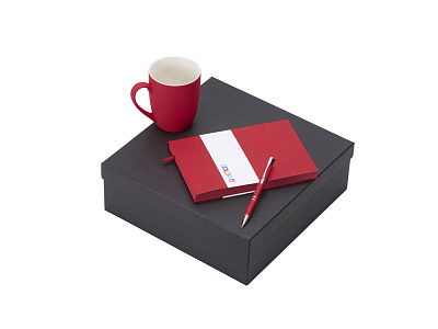 Подарочный набор COLOR IT с блокнотом, металлической ручкой и кружкой (Красный)