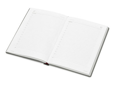 Ежедневник недатированный А5 Velvet