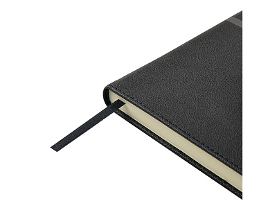 Ежедневник недатированный А5 Lyon