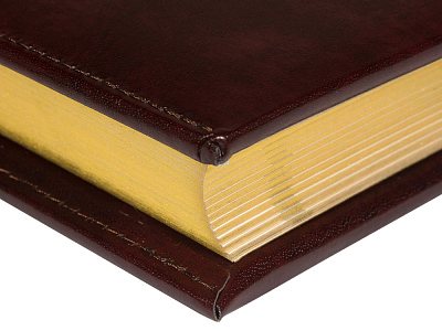 Ежедневник полудатированный А5 Windsor